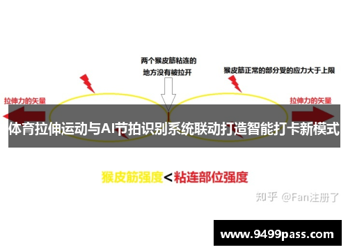 体育拉伸运动与AI节拍识别系统联动打造智能打卡新模式